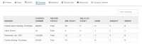 Bibliographic Record workform, Headings view