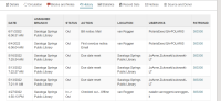 Item Record workform, History view
