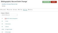 Bibliographic Record Bulk Change workform, 007 Tag tab.