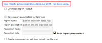 Save report parameters